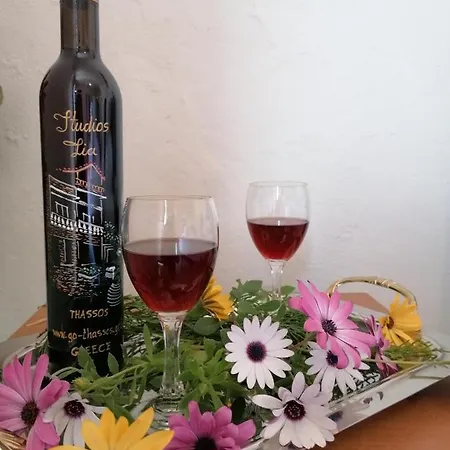 Daire Lia Adults Only -fully Renovated Chrysi Ammoudia