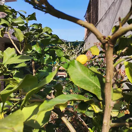 Lia Adults Only -fully Renovated Daire *