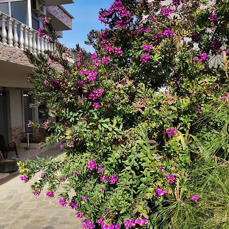 Lia Adults Only -fully Renovated Daire