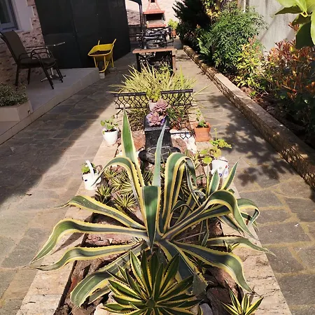 Lia Adults Only -fully Renovated