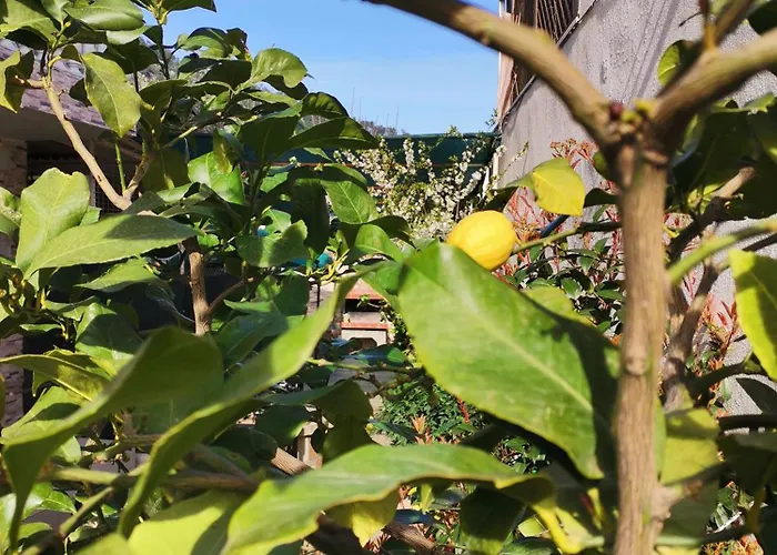 Lia Adults Only -fully Renovated Apartamento *